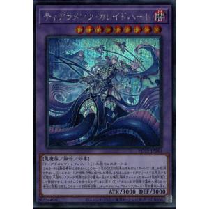 ブシロード カードファイト!! ヴァンガード DZ-BT05/SR24