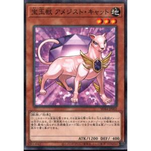 宝玉獣トパーズ・タイガー 【SD44-JP004】【NPA】_ : トレカのツボ