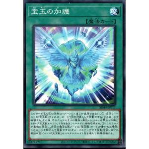 究極宝玉神レインボー・ダーク・ドラゴン 【SD44-JP008】【N】_