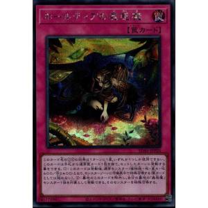 漆黒の魔王 LV8 【CDIP-JP011】【UR】_ : トレカのツボ ヤフー店