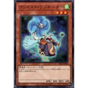 アブソリュート・パワーフォース 【SD46-JP025】【NPA】_