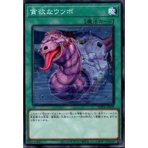 中古ヴァンガード DZ-BT10/EX24[EX]：10th anniversary ハロー