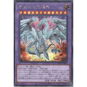 遊戯王オフィシャルカードゲーム デュエルモンスターズ 遊戯王カード