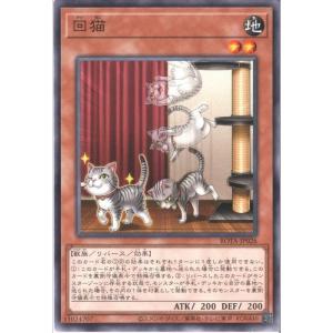 回猫 【ROTA-JP026】【N】_