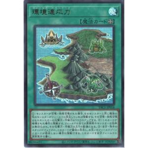 環境適応力 【YAC1-JP016】【UR】_
