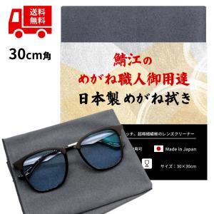 トレシー 大型30cm角  東レ マイクロファイバークロス