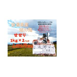 新潟県産　越の鶏　　せせり　2kg　 業務用　フ�