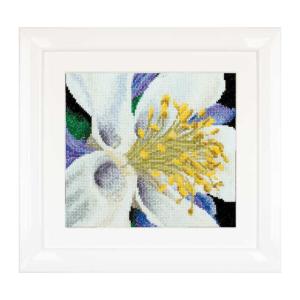 Columbine 花の商品一覧 通販 Yahoo ショッピング