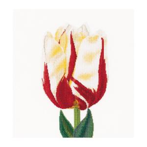 Thea Gouverneur クロスステッチ刺繍キットNo.516 "Flamed Single late tulip"(一重遅咲き系チューリップ 花) オランダ テア・グーヴェルヌール｜torii