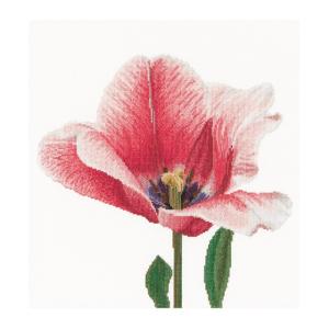 Thea Gouverneur クロスステッチ刺繍キットNo.518  "Pink Darwin hybrid tulip "(ピンクのダーウィンハイブリッド チューリップ 花)｜torii