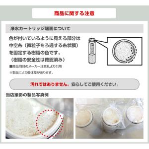 【正規品・送料無料】カートリッジ 3個入り T...の詳細画像1