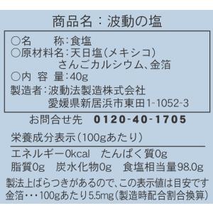 波動の塩40g 5個 波動法製造 携帯用 天日...の詳細画像2