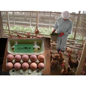 平飼いもみじ卵 自然卵 30個入りの詳細画像2