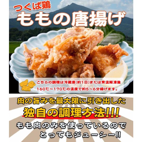 唐揚げ 国産つくば鶏のもも肉使用の唐揚げ10パックセット 柔らかくジューシーなから揚げ唐揚げ/から揚...