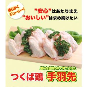 つくば鶏 手羽先 4kg 2kg2パックでの発送 茨城県産 特別飼育鶏 柔らかくジューシーな味 唐揚げや煮るのにも最適な鳥肉｜torimasu