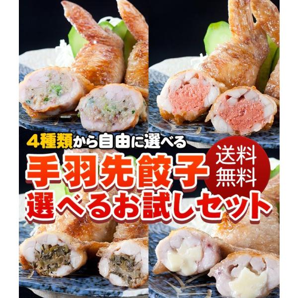 手羽先餃子 選べるお試しセット 5本×5P 焼き鳥屋の手羽先お惣菜 バーベキュー、BBQに最適手羽餃...