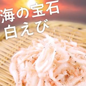 白えび 500g 海の宝石 生食可能 台湾産 白エビ 白海老 シロエビ しろえび