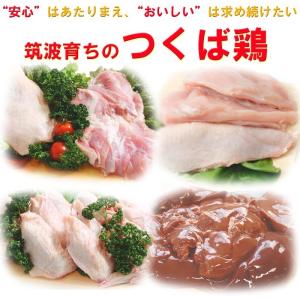 焼き鳥 国産つくば鶏 かわ 皮串 ボイル 40...の詳細画像2