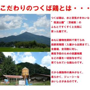 焼き鳥 国産つくば鶏 かわ 皮串 ボイル 40...の詳細画像3