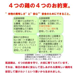 焼き鳥 国産つくば鶏 かわ 皮串 ボイル 40...の詳細画像4