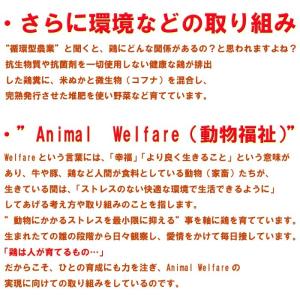 焼き鳥 国産つくば鶏 かわ 皮串 ボイル 40...の詳細画像5
