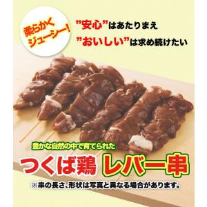 焼き鳥 国産つくば鶏 レバー串 肝 40ｇ×20本 つくば鶏のレバーを使った焼き鳥