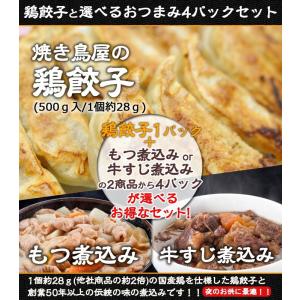 餃子 焼き鳥屋の鶏餃子 500ｇ 一個約28ｇ と選べるおつまみ4パックセット焼くだけ｜torimasu