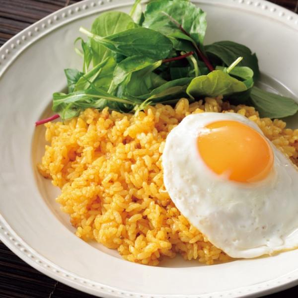 ドライカレーの素 600g 炊いたご飯に混ぜるだけで、本格的なドライカレーが出来ます