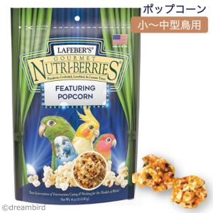 CAP! 鳥の餌 賞味期限2024/7/30 ラフィーバー ポップコーン オカメインコ 4oz