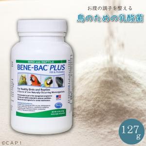 CAP 鳥の餌 賞味期限2022/10/31 バードベネバックプラス パウダー 4.5oz127g