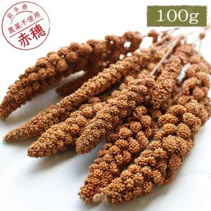 CAP! 鳥の餌  尾田川農園 国内産 赤粟の穂 100g 2021年産