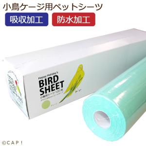 CAP 鳥用品 ハッピーホリディ 小鳥用シーツ 120枚 グリーン