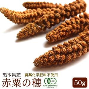 CAP! 鳥の餌 賞味期限2024/12/31有機JAS認定品 赤粟の穂 50g