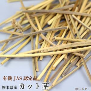 農薬不使用栽培 カット茎 30g