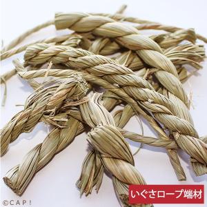 CAP! 鳥のおもちゃ 栽培時農薬不使用  かじりーず　いぐさロープ端材　50ｇ