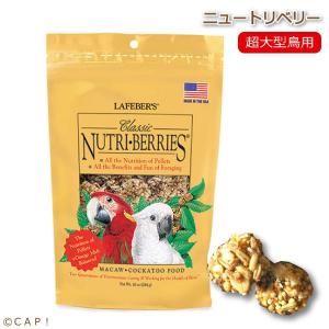 CAP 鳥の餌 賞味期限2023/10/18 ラフィーバー ニュートリベリー マコウ 10oz