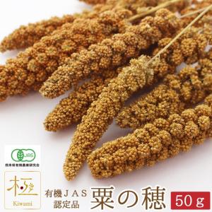 CAP! 鳥の餌 賞味期限2024/7/31 ※LN50※有機JAS認定品 粟の穂