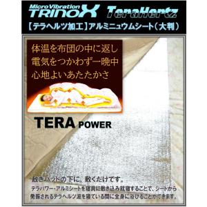 TRINOX テラパワー・アルミシート 大判  大判 サイズ 90cm × 180cm  テラシール付 １枚｜torinox-store