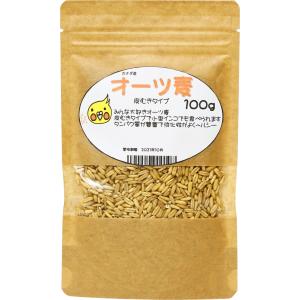 とりっぴーオリジナル　オーツ麦　100g　厳選種子