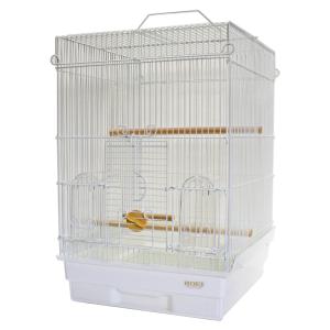 HOEI 35手のりホライズン 色：ホワイト ワイヤー：銀 （オカメインコ