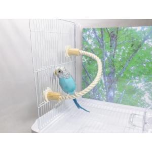 全て揃う‼️ひな~成鳥インコ飼育用まとめ売り✨️ 全て揃う‼️ひな~成鳥インコ飼育用まとめ売り✨️