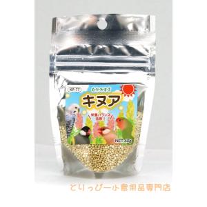 自然派宣言 キヌア 40g 黒瀬ペットフード