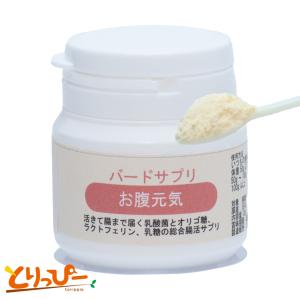 乳酸菌プラスα　30gボトル 　 バードサプリ　インコの乳酸菌サプリ　(3ヵ月分)