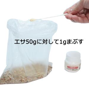 乳酸菌プラスα 30gボトル バードサプリ イ...の詳細画像2