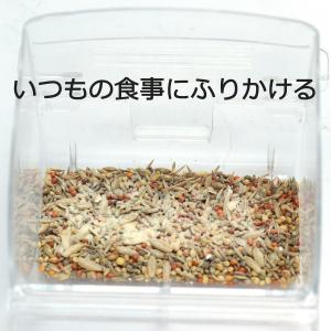 乳酸菌プラスα 30gボトル バードサプリ イ...の詳細画像3
