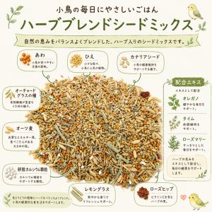 ハーブ配合の特別な厳選ブレンド 500ml セ...の詳細画像2