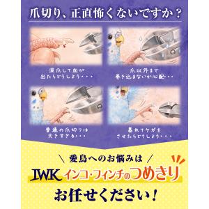 IWK インコとフィンチのつめきり(ステンレス...の詳細画像2