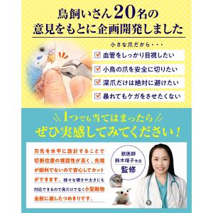 IWK インコとフィンチのつめきり(ステンレス...の詳細画像3
