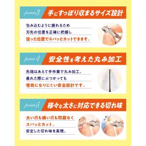 IWK インコとフィンチのつめきり(ステンレス...の詳細画像5