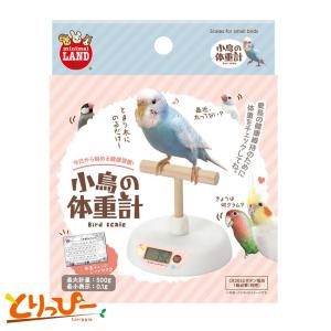 NPF エクセル 粟の穂ホルダー 小鳥用食器 粟穂ホルダー : とりっぴー
